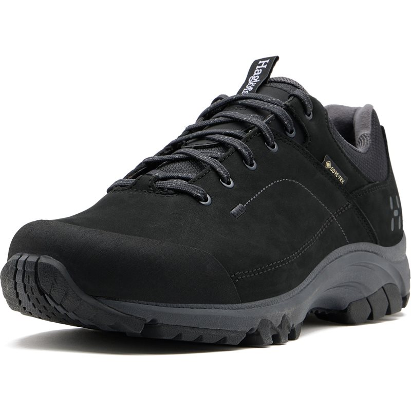 Ridge GTX II Low Men