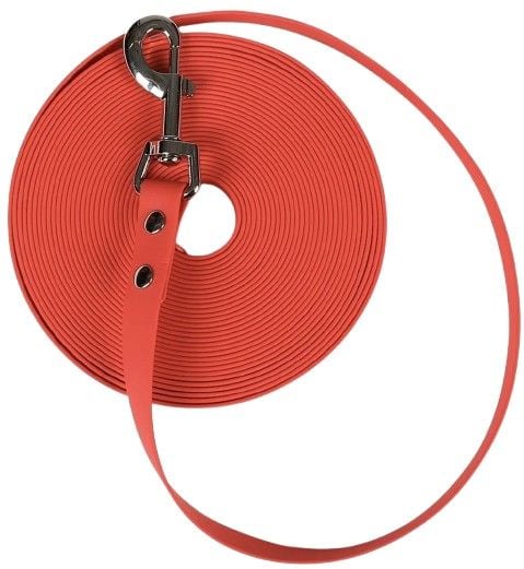 Training Leash Narrow