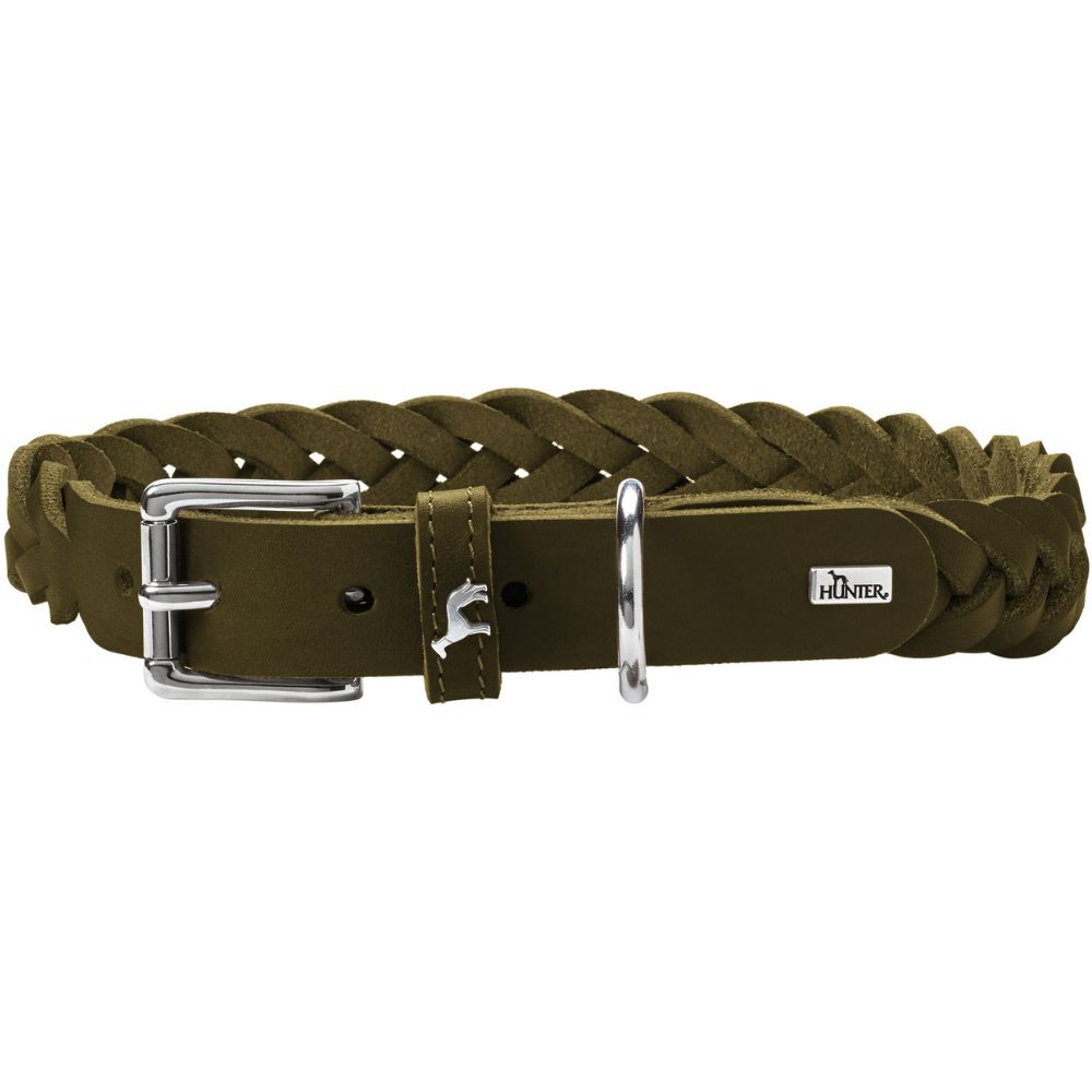Collar Solid Education Special 55/M Leather Olive Green