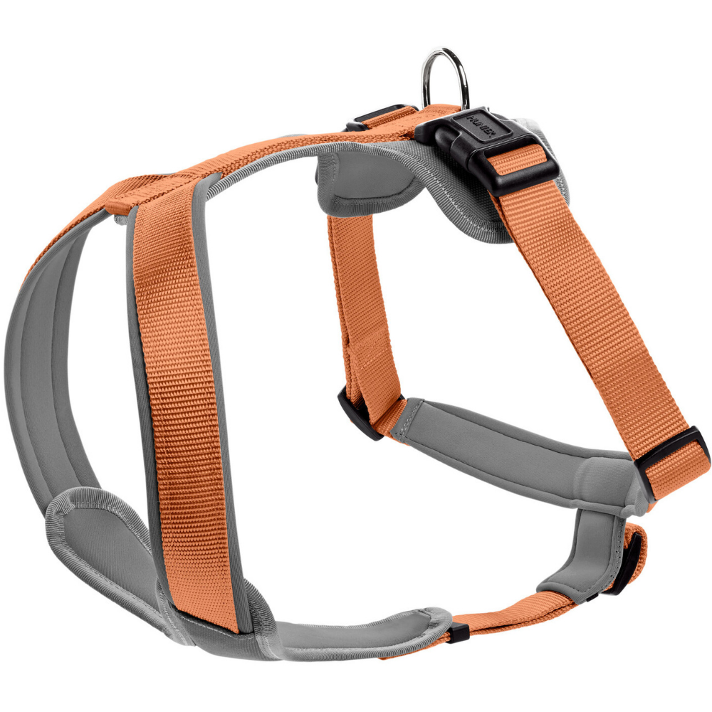 Harness Neoprene 53-65/M Copper/Grey