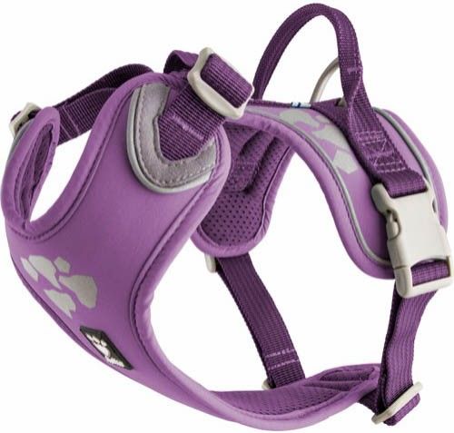 Weekend Warrior Harness 80-100 cm Currant