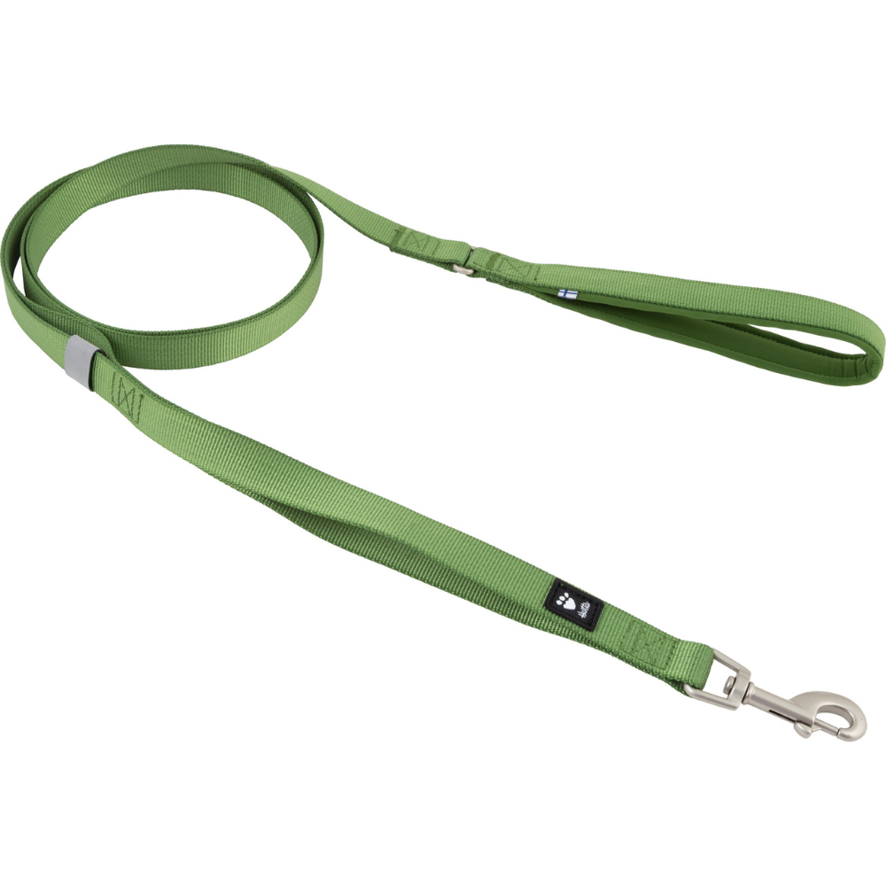 Weekend Warrior Standard Leash Parsley