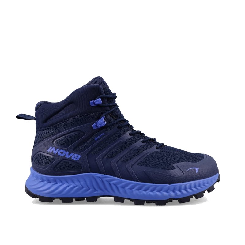 Roclite Mid GTX (M)