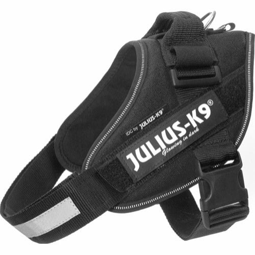 Julius-K9 IDC-Sele 0 flere farger