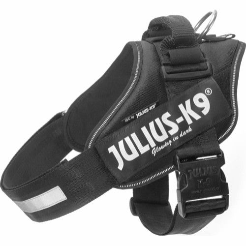 Julius-K9 IDC-Sele 1 flere farger