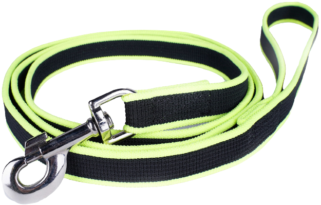 Premium Jogging Leash 1