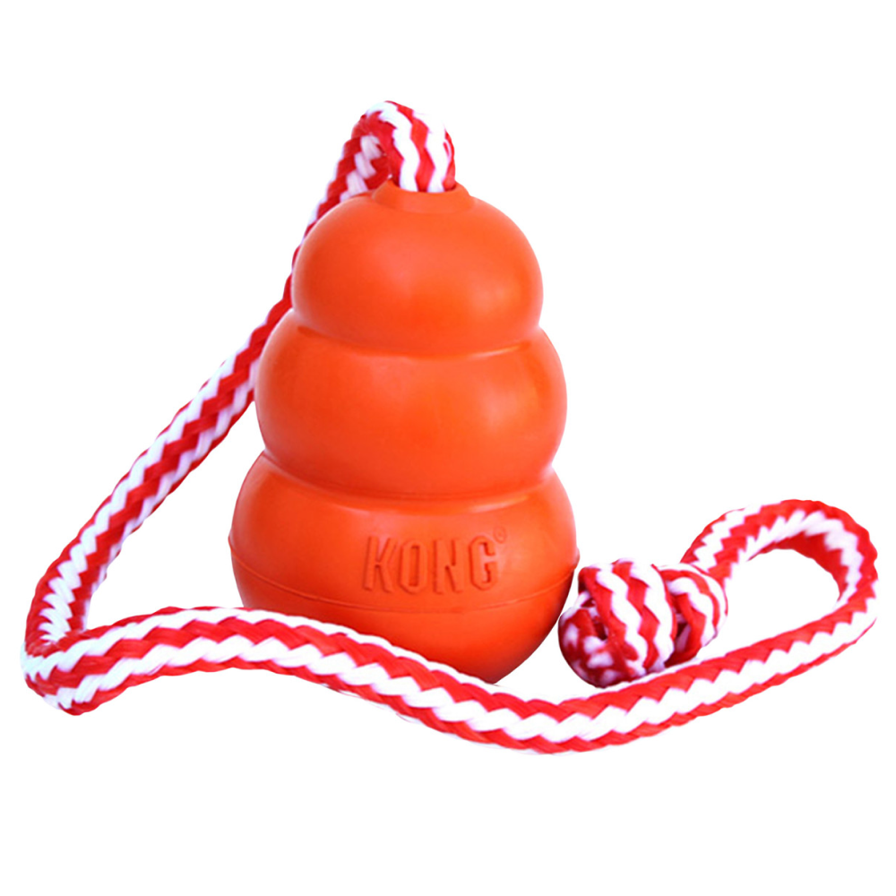 Aqua M 9X6Cm Orange