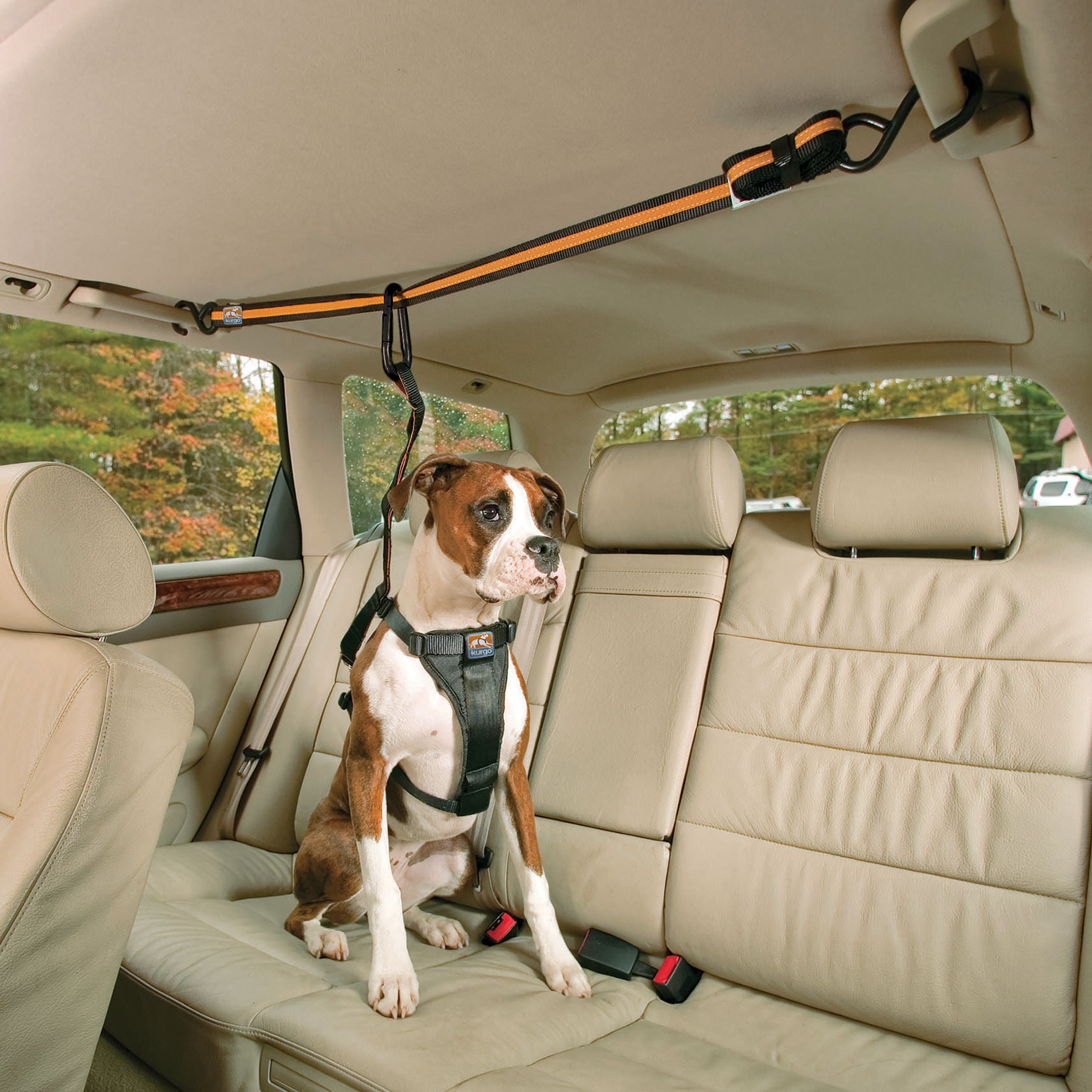 Auto Zip Line with Leash/Tether Black/Orange