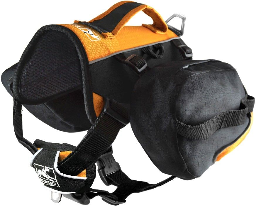 Baxter Backpack Black/Orange