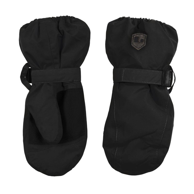 Winter Mitten
