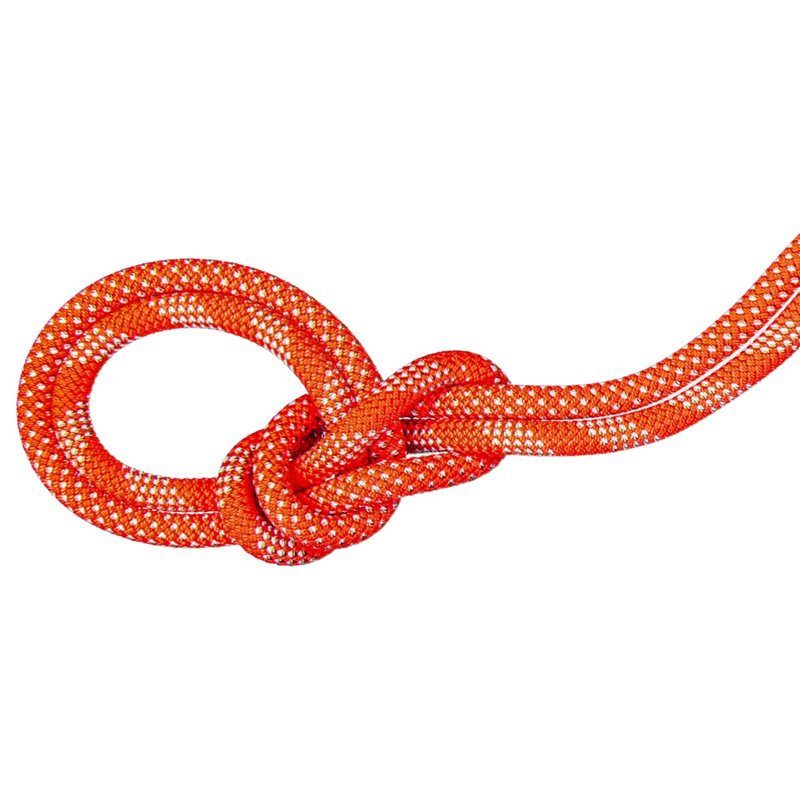 9.8 Crag Classic Rope 80m