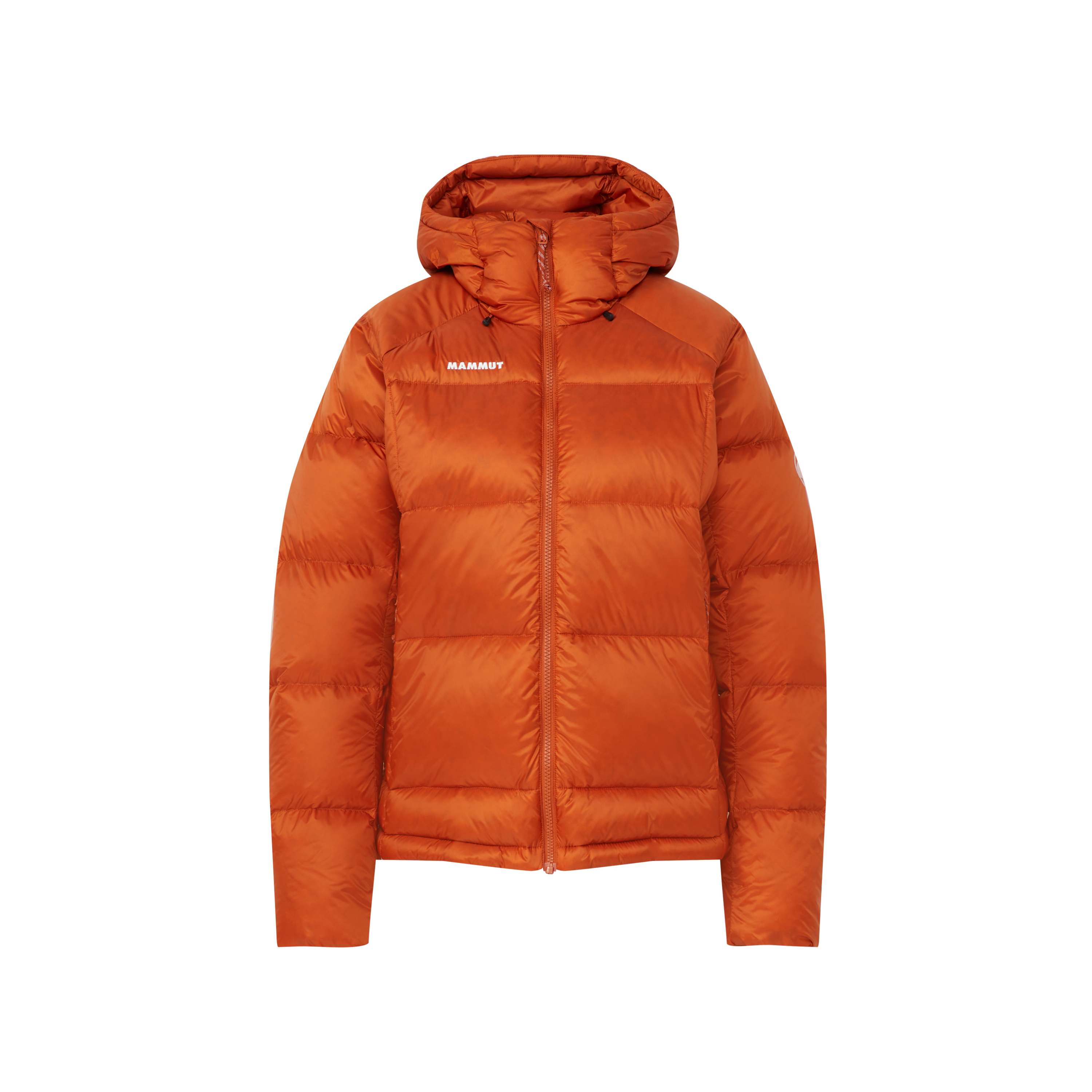 W's Glacier Glow In Hooded Jacket Autumn Larice