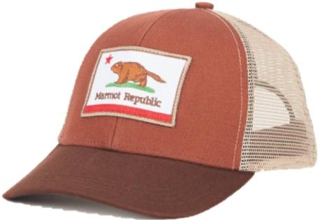 Retro Trucker Hat Brown
