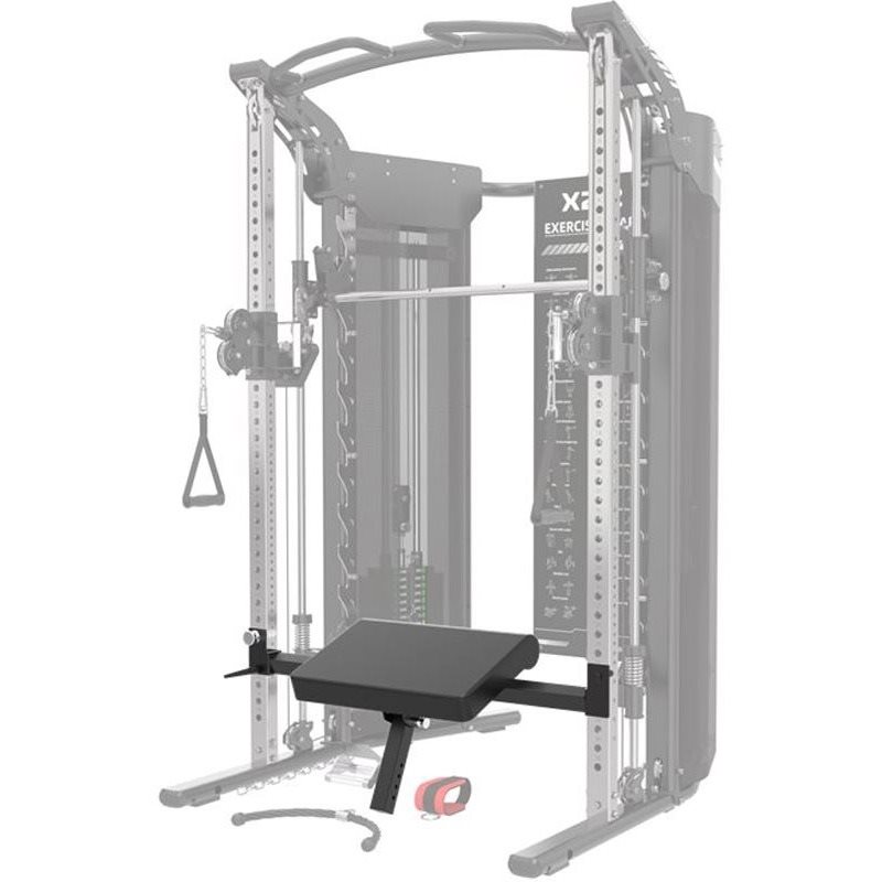 X22-X19 Hipthrust