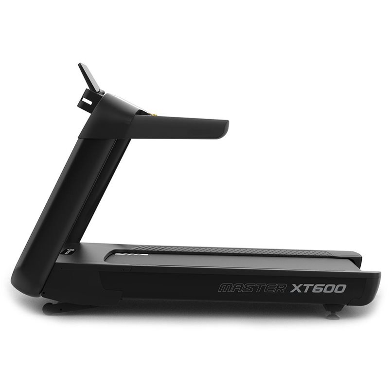 XT600