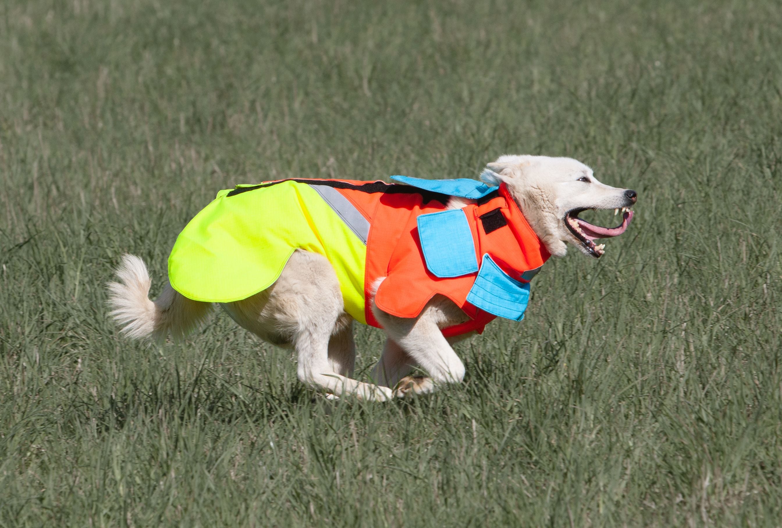 Tuskproof Boar v.5 Orange XL