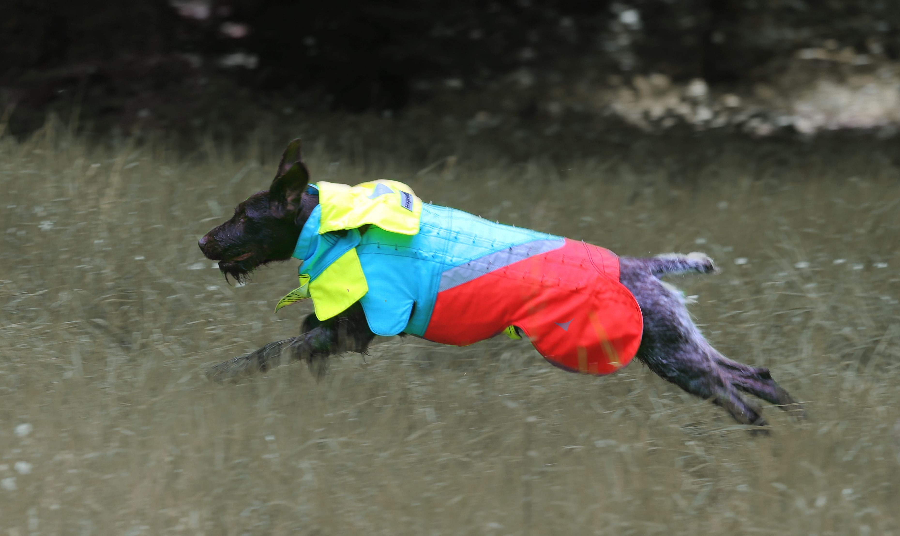 Tuskproof Wolf v.5 Blå XXL