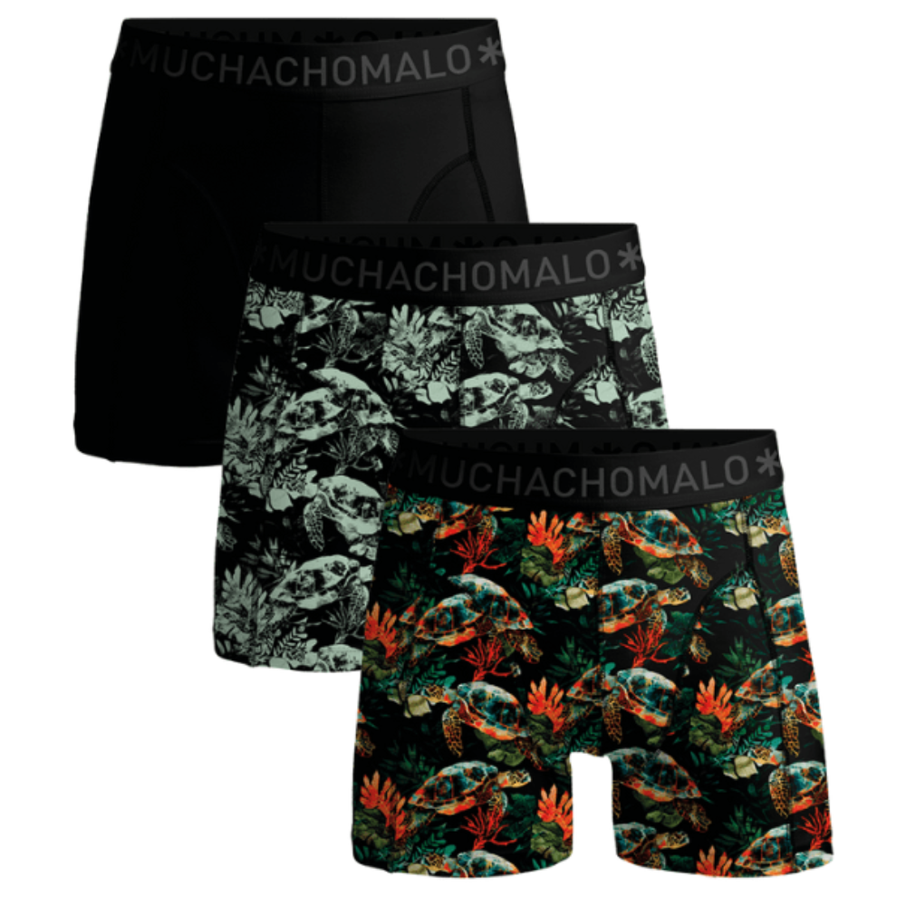 Turtle 01 3Pk Boxer Print/Print/Solid