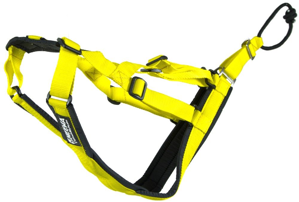 Sled dog - X-back Gul