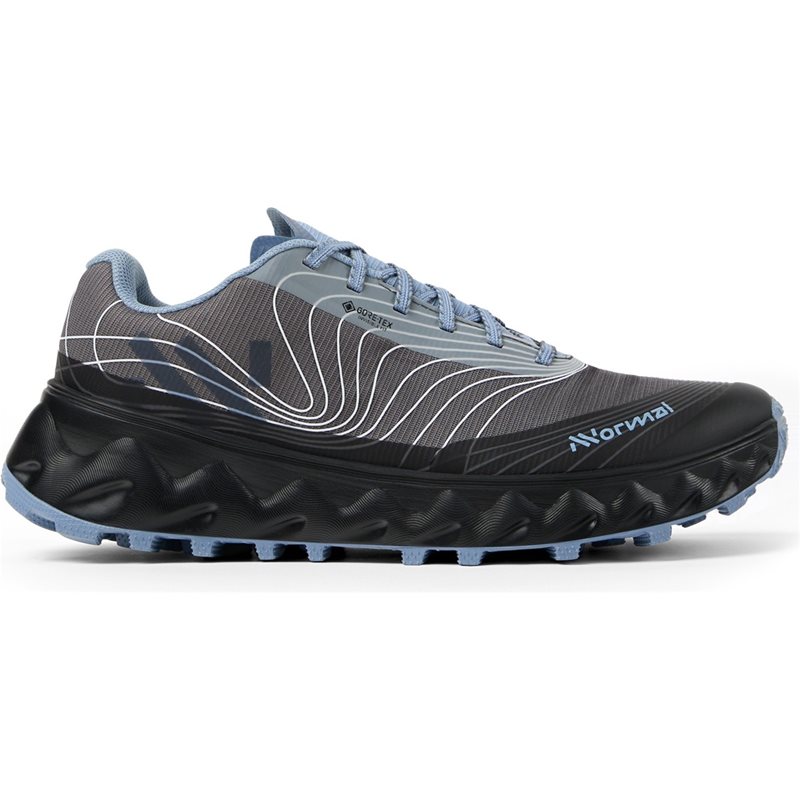 Tomir 2.0 GTX Shoe
