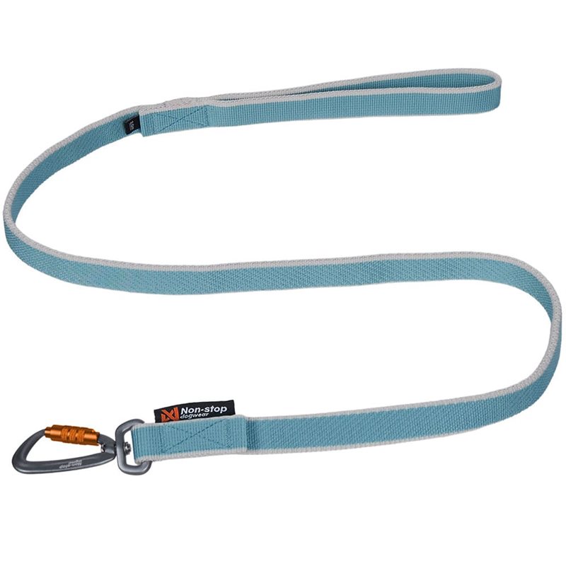 Bungee Leash