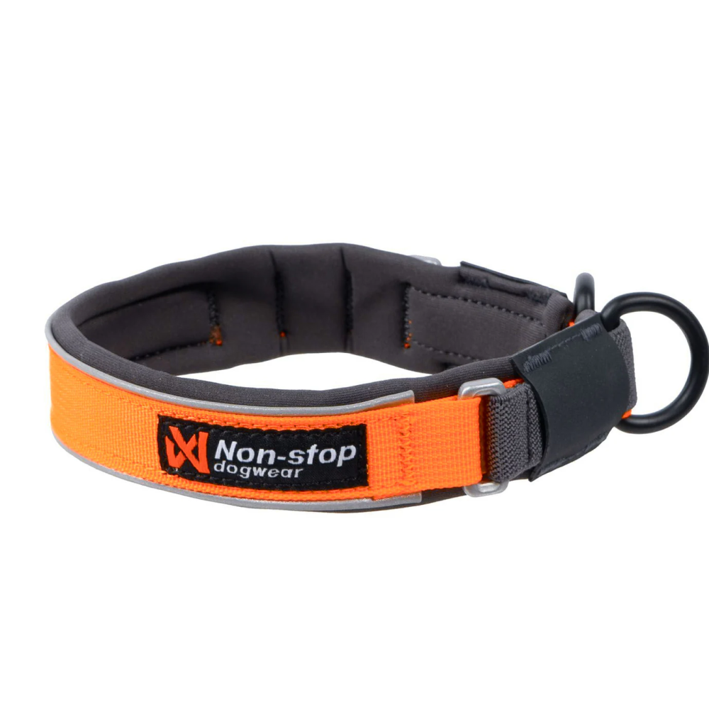 Protector Collar Orange