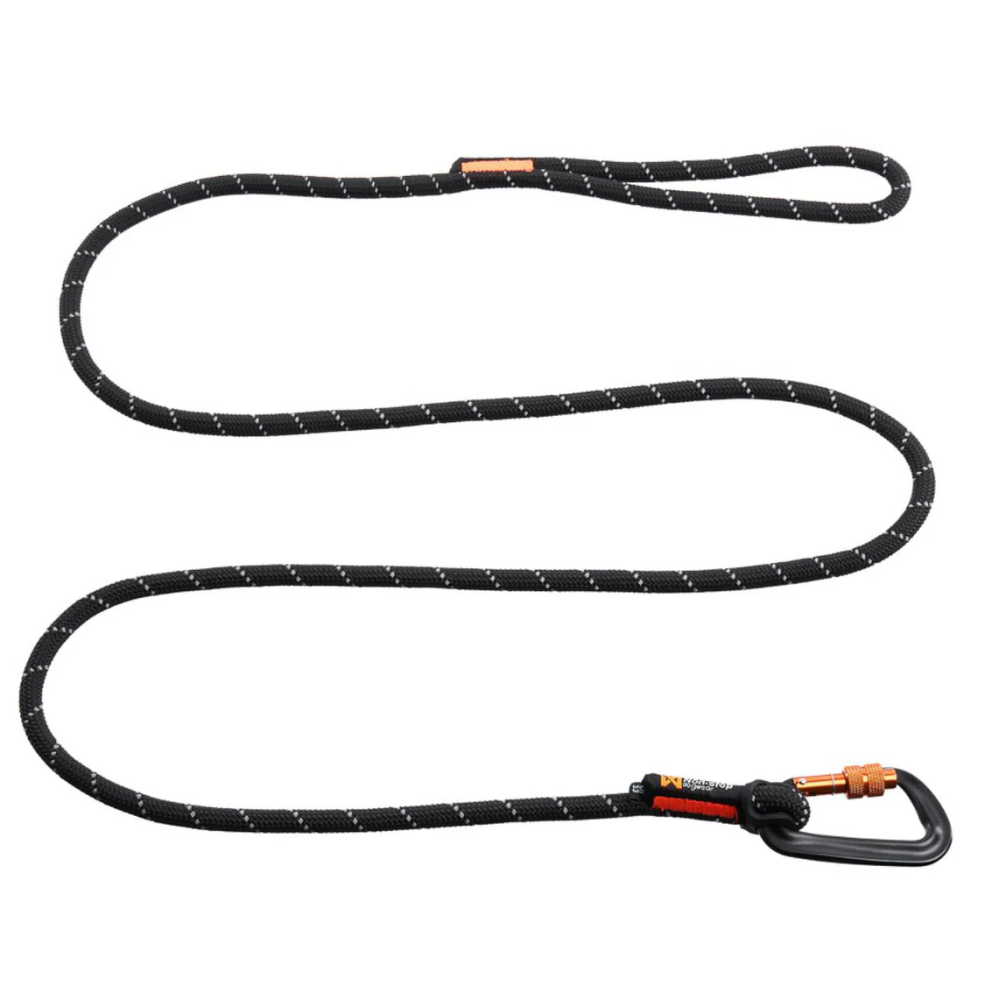 Rock Leash 1