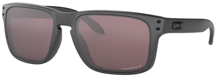 Holbrook Holbrook Steel Prizm Daily Polarized