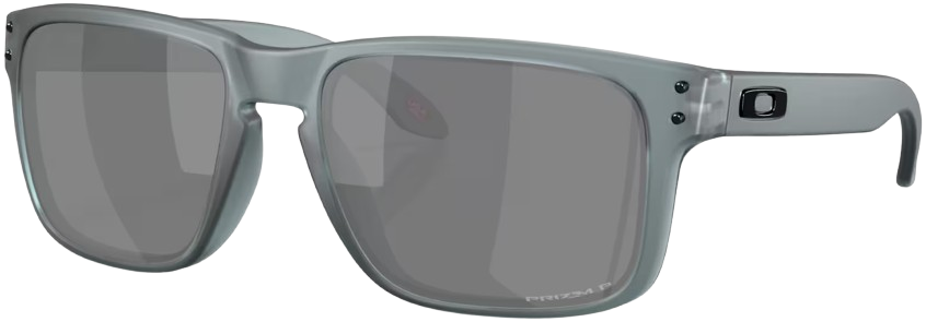 Holbrook Prizm Matte Crystal Black Black Polarized