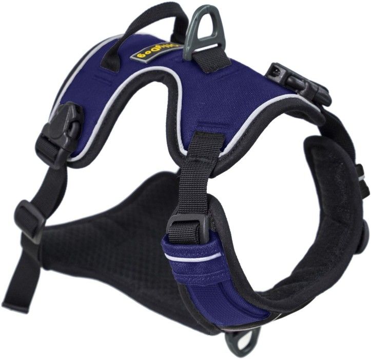 Alpine Reflective Harness Atlantic