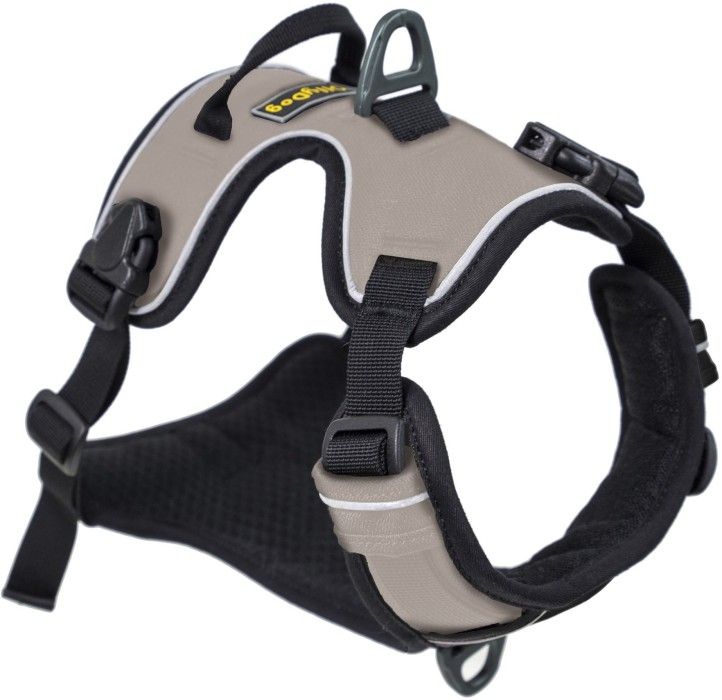 Alpine Reflective Harness Champagne