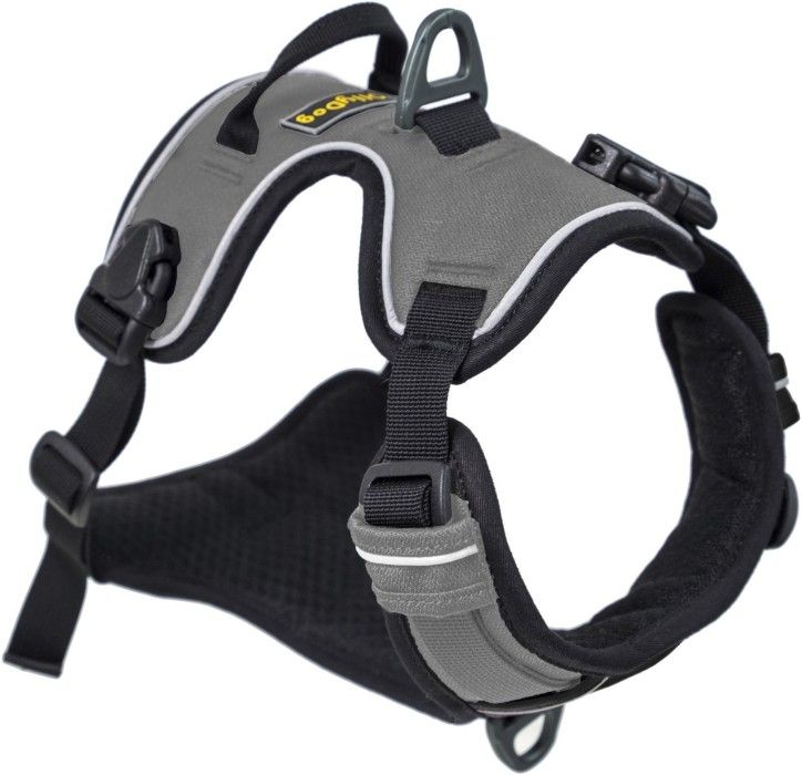 Alpine Reflective Harness Flint