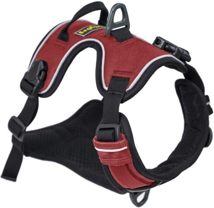 Alpine Reflective Harness Vino