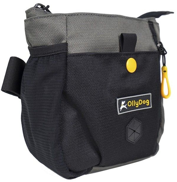Backcountry Day Bag Flint