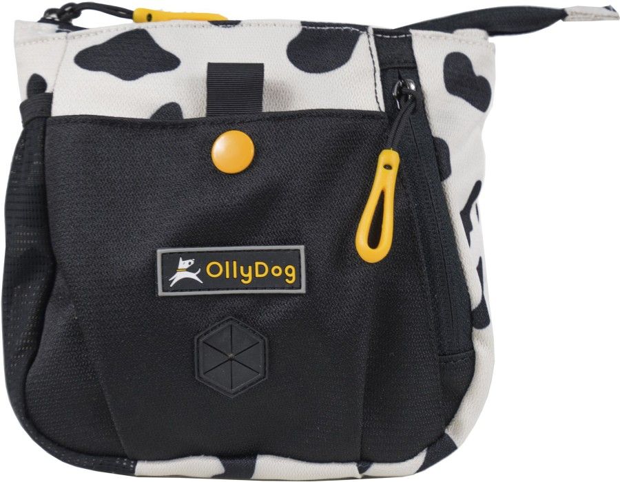 Backcountry Day Bag Hide
