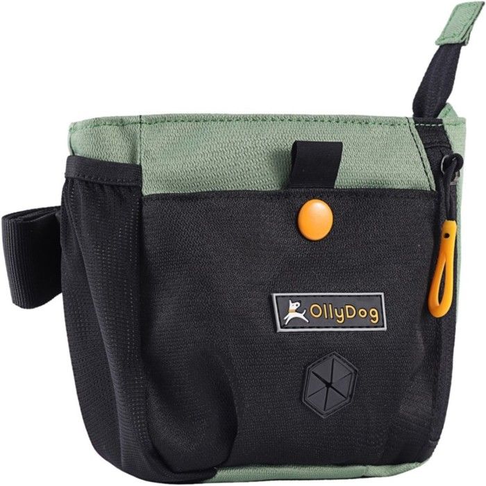 Backcountry Day Bag Jaden