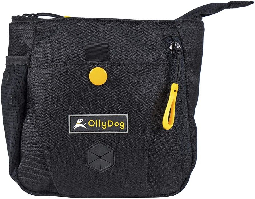 Backcountry Day Bag Raven