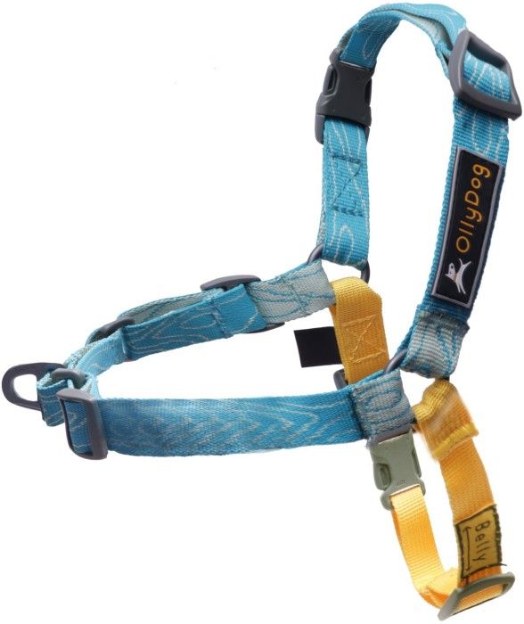 Essential Harness Sky Bark