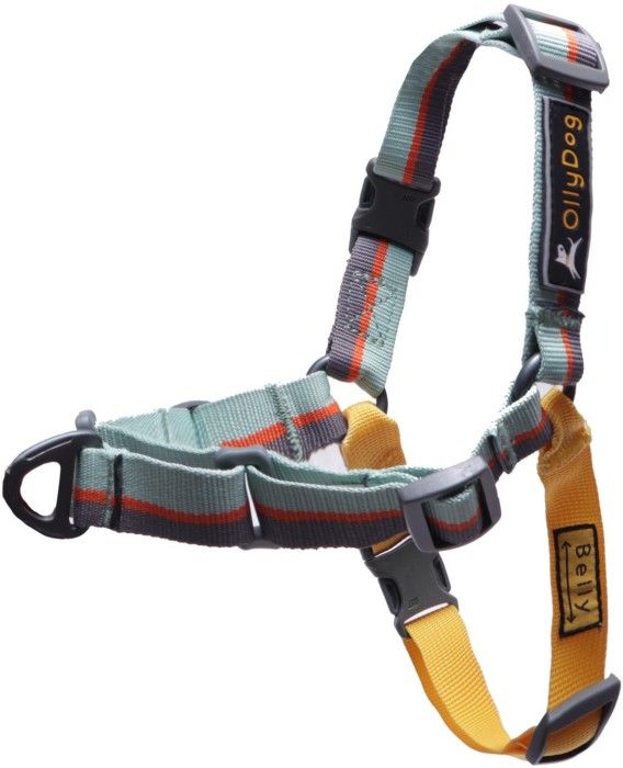 Essential Harness Surf