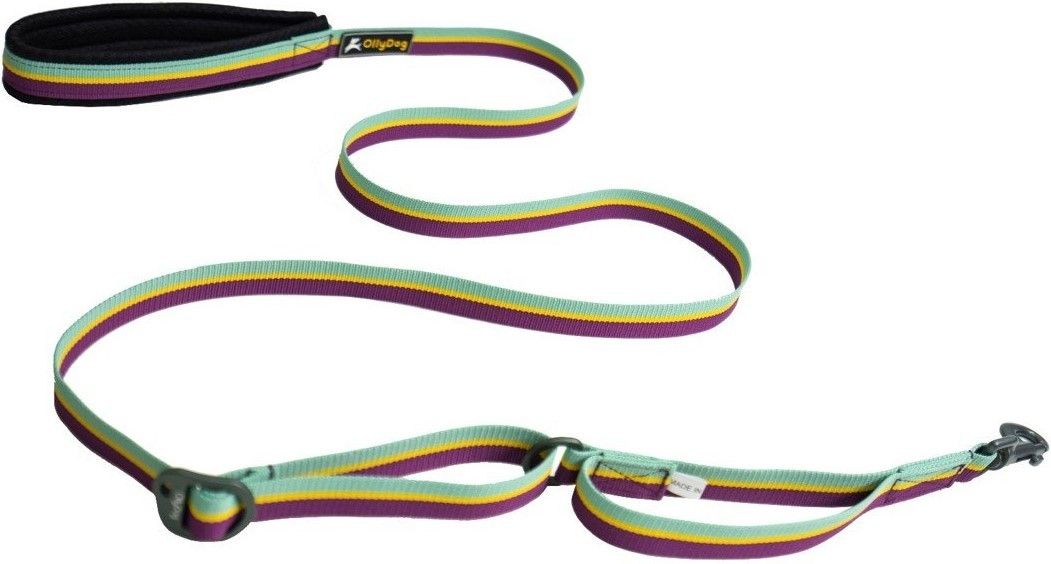 Flagstaff Adjustable Leash Magenta