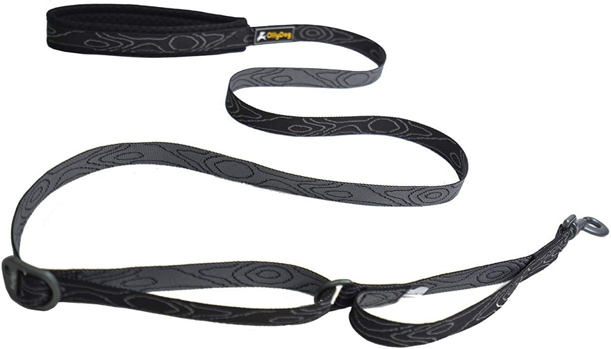 Flagstaff Adjustable Leash Raven Bark