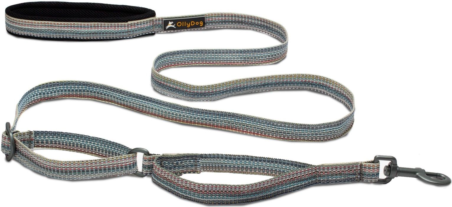 Flagstaff Adjustable Leash- Repurpose Prism