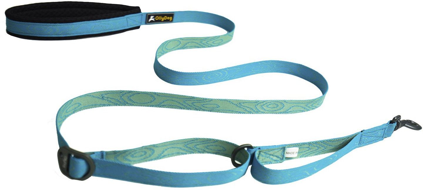 Flagstaff Adjustable Leash Sky Bark