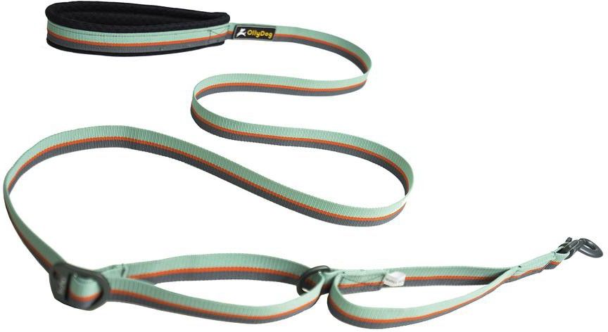 Flagstaff Adjustable Leash Surf