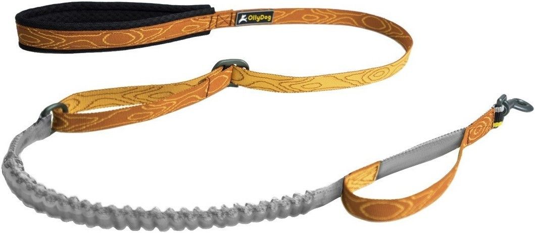Flagstaff Adjustable Spring Leash Blaze Bark
