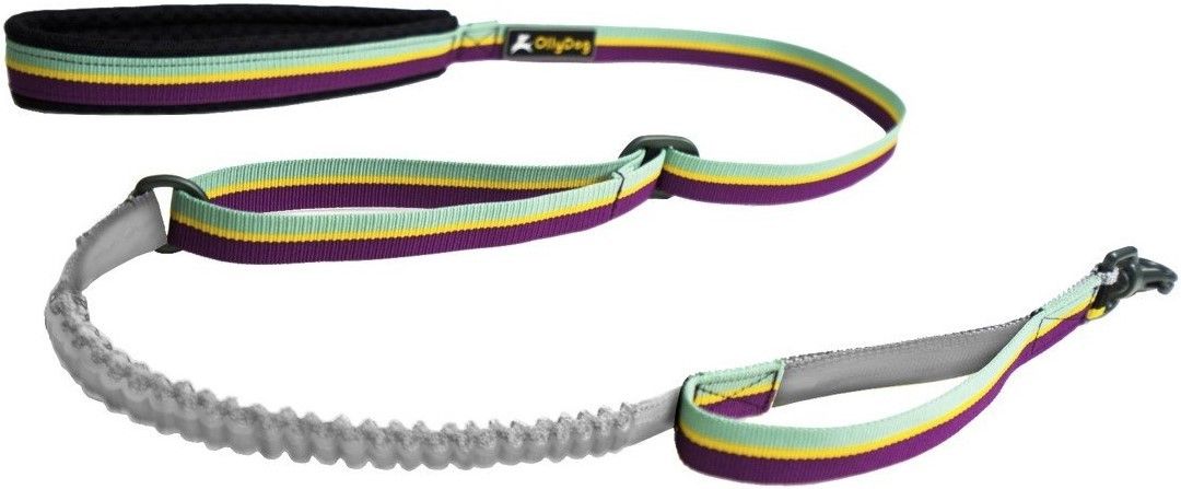 Flagstaff Adjustable Spring Leash Magenta