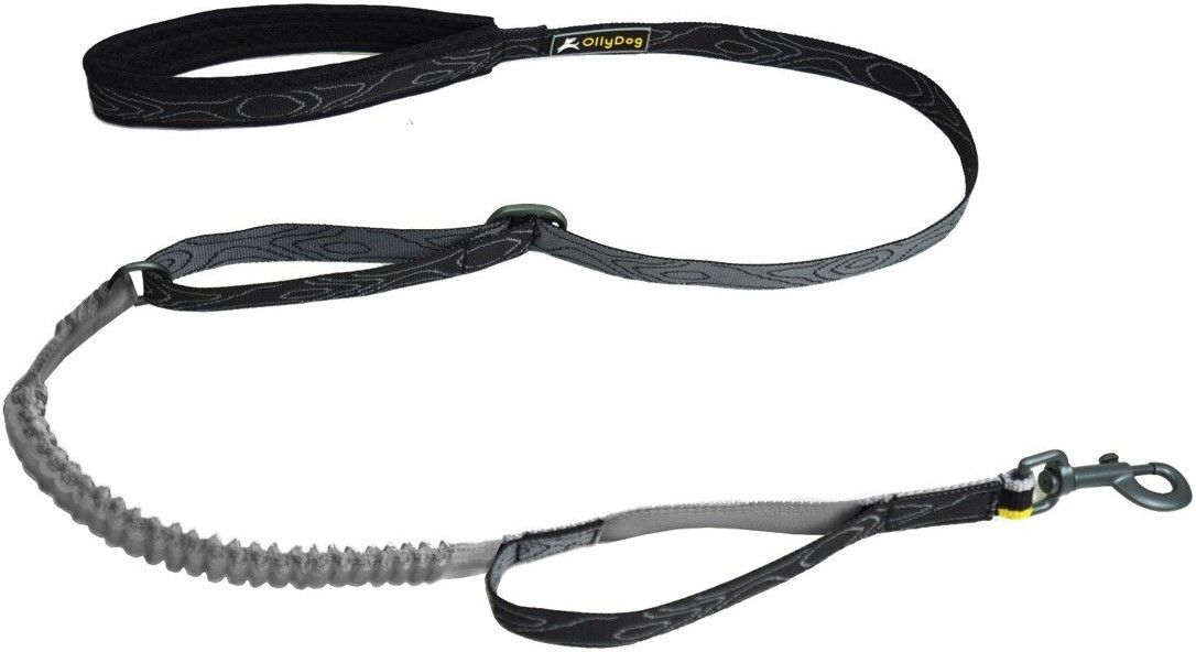 Flagstaff Adjustable Spring Leash Raven Bark