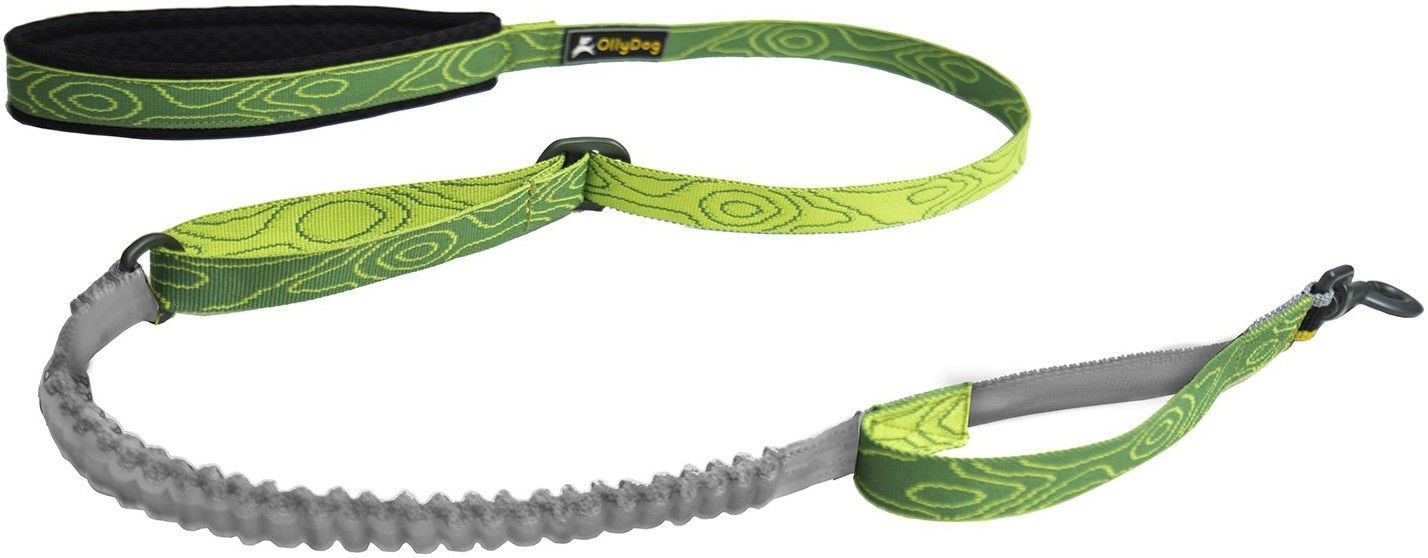 Flagstaff Adjustable Spring Leash Sage Bark