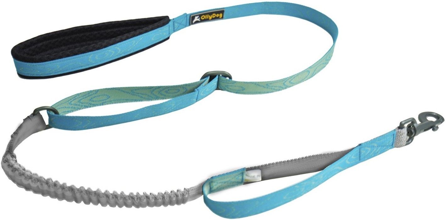 Flagstaff Adjustable Spring Leash Sky Bark