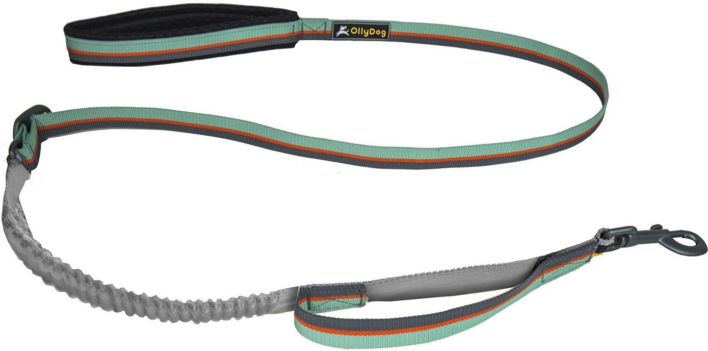 Flagstaff Adjustable Spring Leash Surf